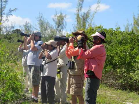 Bird Watchers
